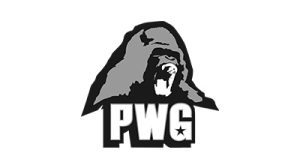 pwg-logo